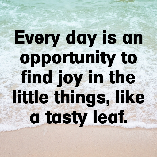 199+ Oca Captions For Instagram In (2025) 6 Oca Captions Image For Instagram In (2025)-H5aEsZ