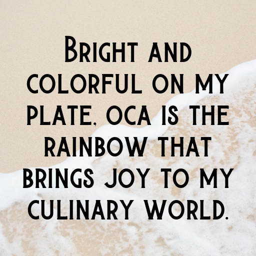 199+ Oca Captions For Instagram In (2025) 10 Oca Captions Image For Instagram In (2025)-lq8Akd