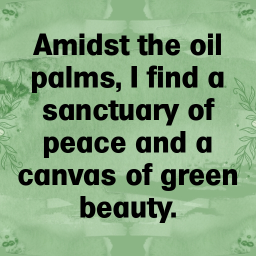 Oil Palm Captions Image For Instagram In 2025-7GWLLB