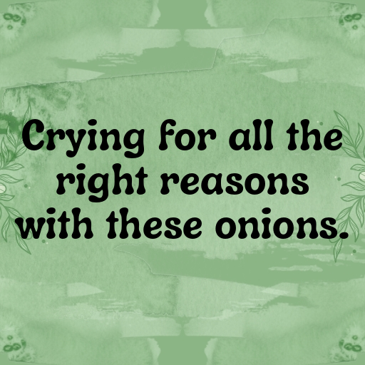 Onion Captions Photo For Instagram In [2025]-yDdTR2