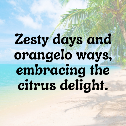 171+ Orangelo Captions For Instagram In 2025 5 Orangelo Captions Image For Instagram In 2025-7id0os