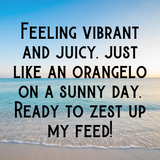171+ Orangelo Captions For Instagram In 2025 3 Orangelo Captions Photo For Instagram In 2025-2XruA3