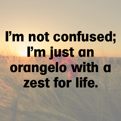 171+ Orangelo Captions For Instagram In 2025 4 Orangelo Captions Photo For Instagram In 2025-cXuCk5