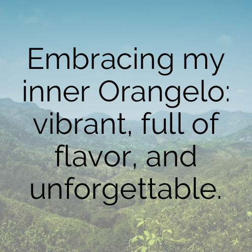 171+ Orangelo Captions For Instagram In 2025 8 Orangelo Captions Photo For Instagram In 2025-zNUi9I