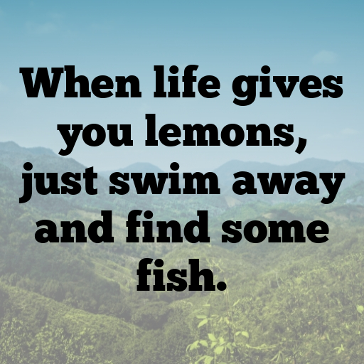 Orca Captions Image For Instagram In [2025]-mKCDiR