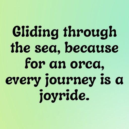 Orca Captions Photo For Instagram In [2025]-RRY39M