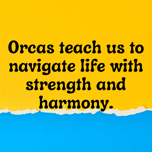 Orca Captions Photo For Instagram In [2025]-WHEQiL