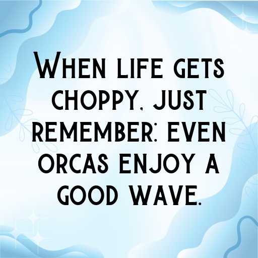 Orca Captions Photo For Instagram In [2025]-xUwgRP