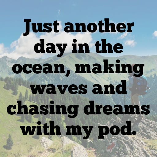 Orca Captions Photo For Instagram In [2025]-zxxQjj