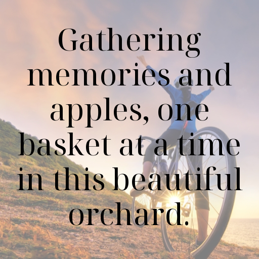 Orchard Visit Captions Photo for Instagram In [2025]-Fns7DF