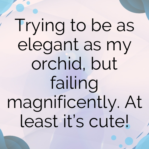 169+ Orchid Captions For Instagram In 2025 4 Orchid Captions Photo For Instagram In 2025-bD1q6q