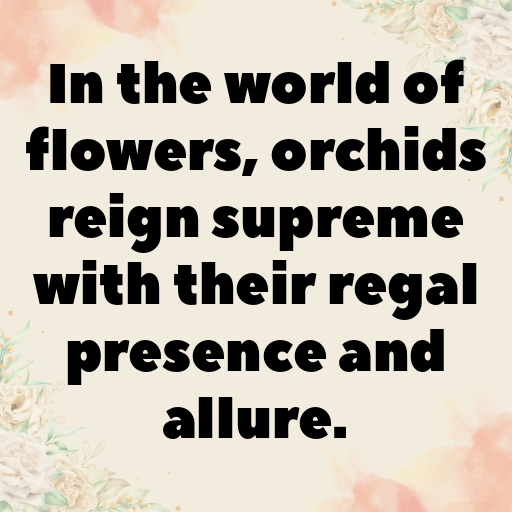 169+ Orchid Captions For Instagram In 2025 3 Orchid Captions Photo For Instagram In 2025-j2gjz9