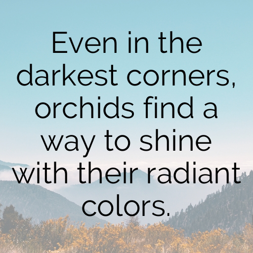 169+ Orchid Captions For Instagram In 2025 10 Orchid Captions Photo For Instagram In 2025-pgOOA5