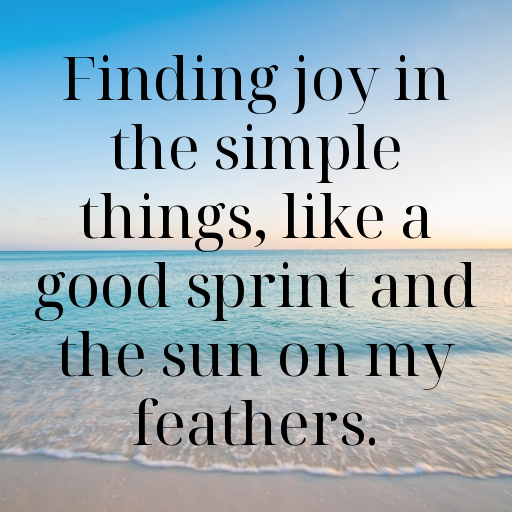 Ostrich Captions Photo For Instagram In 2025-fEpk9T