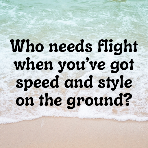 Ostrich Captions Photo For Instagram In 2025-xPdlsw