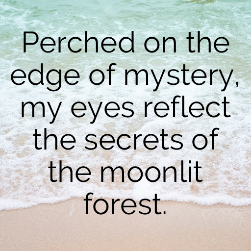 Owl Captions Image For Instagram In 2025-ihU7Za