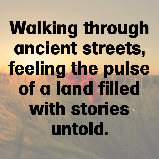 174+ Palestine Captions For Instagram In (2025) 3 Palestine Captions Photo For Instagram In (2025)-BgTZQI