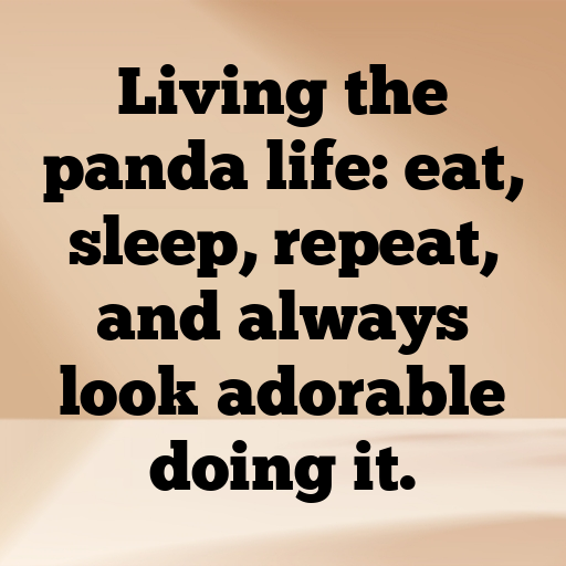166+ Panda Captions For Instagram In 2025 6 Panda Captions Image For Instagram In 2025-ARNsfQ