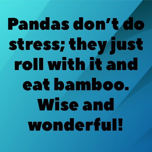 166+ Panda Captions For Instagram In 2025 9 Panda Captions Image For Instagram In 2025-B1WkY3