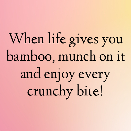 166+ Panda Captions For Instagram In 2025 7 Panda Captions Image For Instagram In 2025-bQ1LxM