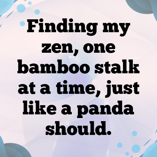 166+ Panda Captions For Instagram In 2025 8 Panda Captions Image For Instagram In 2025-eZguB6