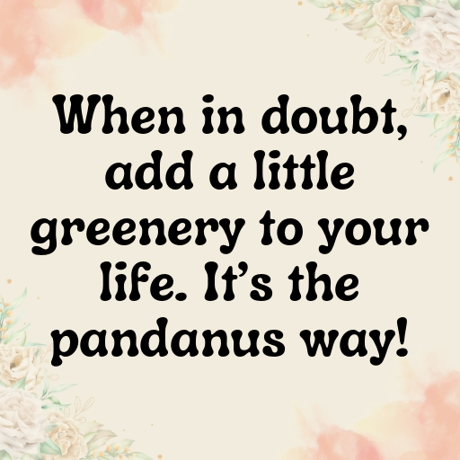 Pandanus Captions Image For Instagram In 2025-N5RMeH