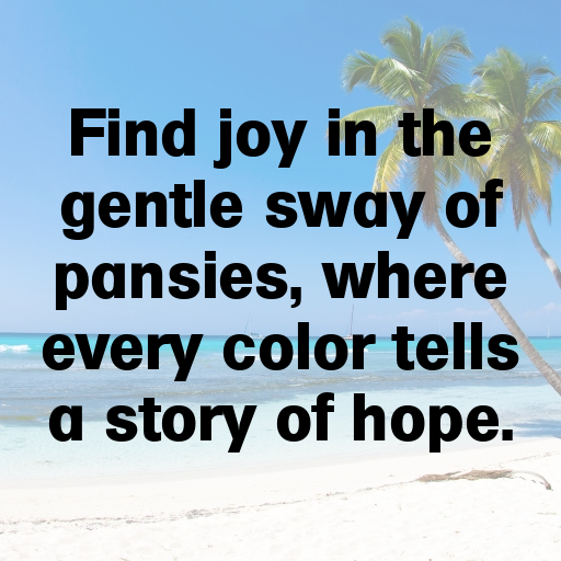 Pansy Captions Image For Instagram In (2025)-kKeFo9