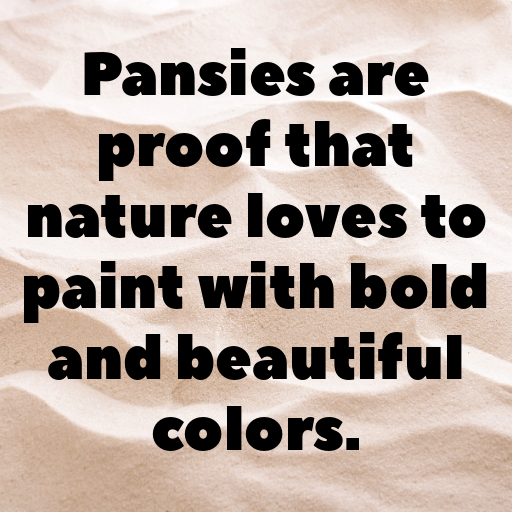 Pansy Captions Photo For Instagram In (2025)-5lOlBY