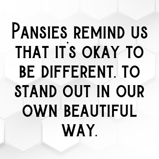 Pansy Captions Photo For Instagram In (2025)-nUtx8O