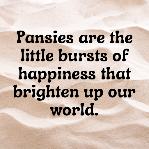 Pansy Captions Photo For Instagram In (2025)-WSJApl