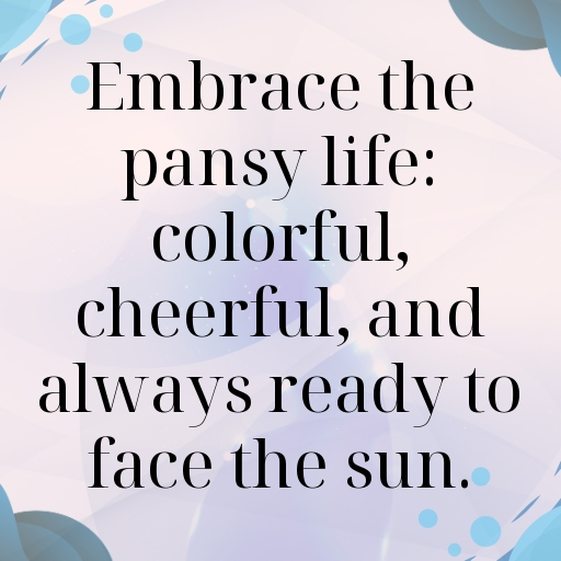Pansy Captions Photo For Instagram In (2025)-ZBVC8e