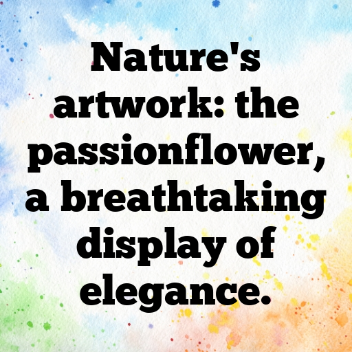 176+ Passionflower Captions For Instagram In 2025 10 Passionflower Captions Photo For Instagram In 2025-sH4Tfu