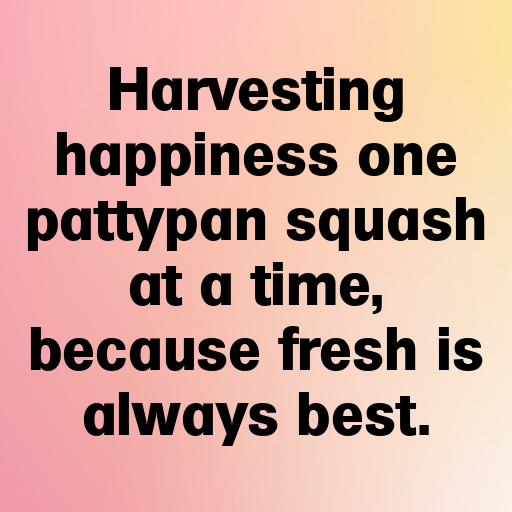 Pattypan Squash Captions Photo For Instagram In [2025]-n2VVls