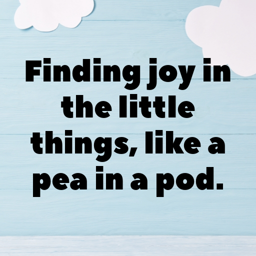 Pea Captions Photo For Instagram In [2025]-c5eM5p