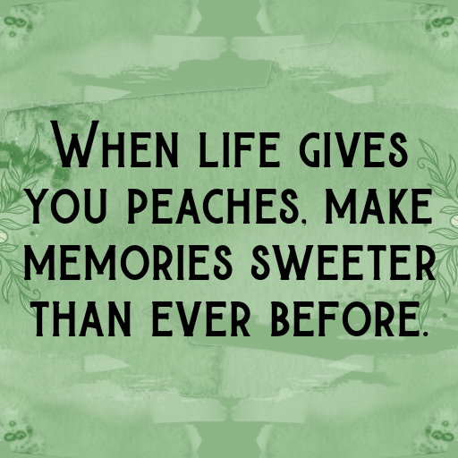 Peach Captions Image For Instagram In [2025]-H9iQ8K