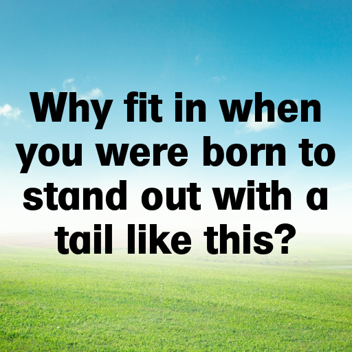 Peacock Captions Image For Instagram In [2025]-fH54Ia