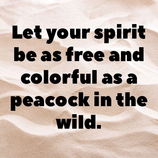 Peacock Captions Image For Instagram In [2025]-SaNxhM