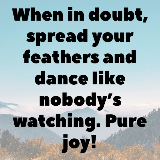 Peacock Captions Image For Instagram In [2025]-v8s7TY