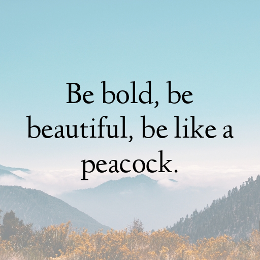 Peacock Captions Photo For Instagram In [2025]-mEJitD