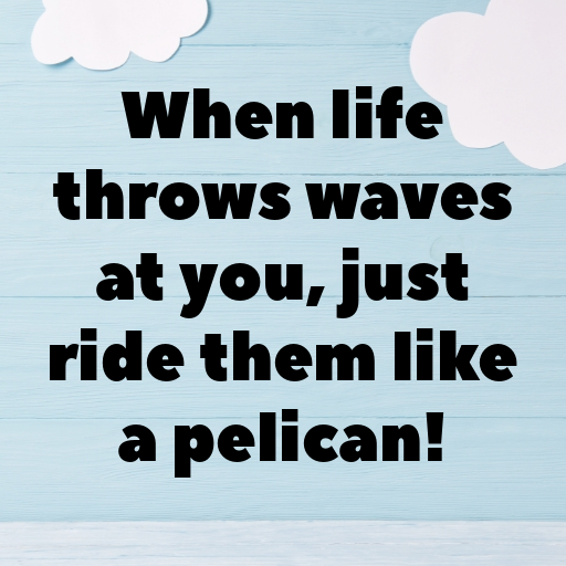 170+ Pelican Captions For Instagram In 2025 4 Pelican Captions Image For Instagram In 2025-wMYQaQ