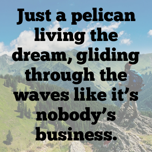 170+ Pelican Captions For Instagram In 2025 6 Pelican Captions Photo For Instagram In 2025-CRrCyE