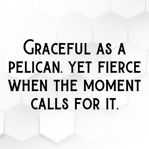 170+ Pelican Captions For Instagram In 2025 3 Pelican Captions Photo For Instagram In 2025-kTyuPA