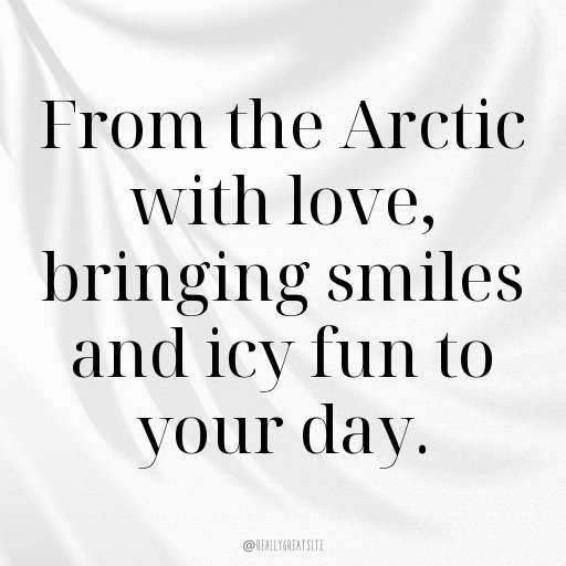 Penguin Captions Image For Instagram In [2025]-yIMWPE