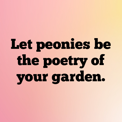 177+ Peony Captions For Instagram In 2025 5 Peony Captions Image For Instagram In 2025-vkFn7s