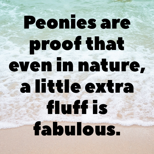 177+ Peony Captions For Instagram In 2025 4 Peony Captions Photo For Instagram In 2025-kIXsbx