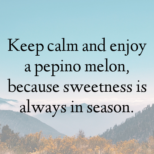 Pepino Melon Captions Image For Instagram In [2025]-18xYtE