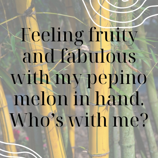 Pepino Melon Captions Photo For Instagram In [2025]-JbkkXY