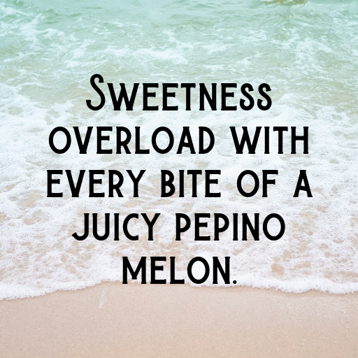 Pepino Melon Captions Photo For Instagram In [2025]-UVe0JH