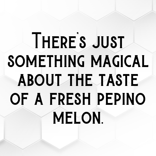 Pepino Melon Captions Photo For Instagram In [2025]-z2Kv39