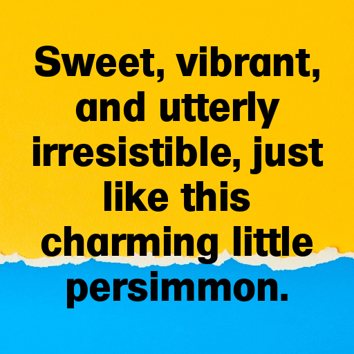 158+ Persimmon Captions For Instagram In (2025) 6 Persimmon Captions Image For Instagram In (2025)-jWDDNo